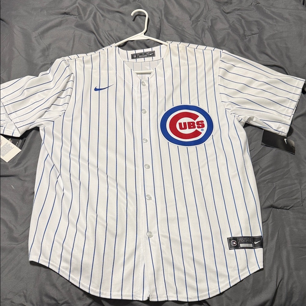 Nike Chicago Cubs White and Blue Pinstripe Men's Jersey
